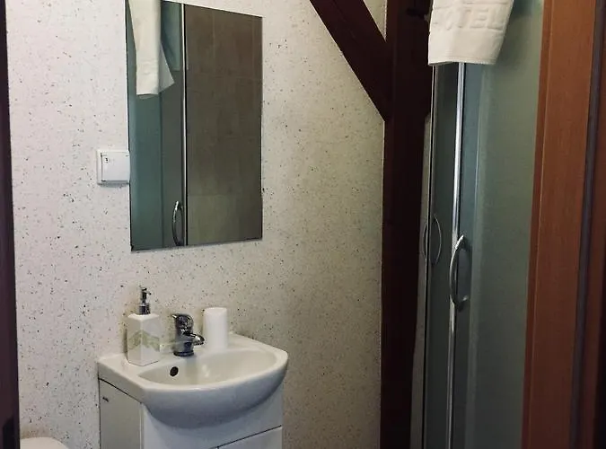 Gosciniec U Michala * Rakoniewice